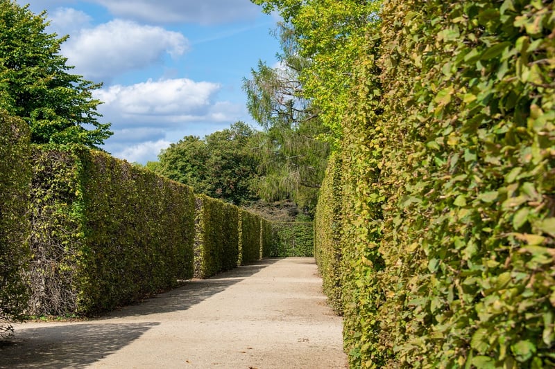 Labyrinth walking
