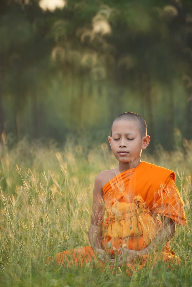 Yoga Harmony